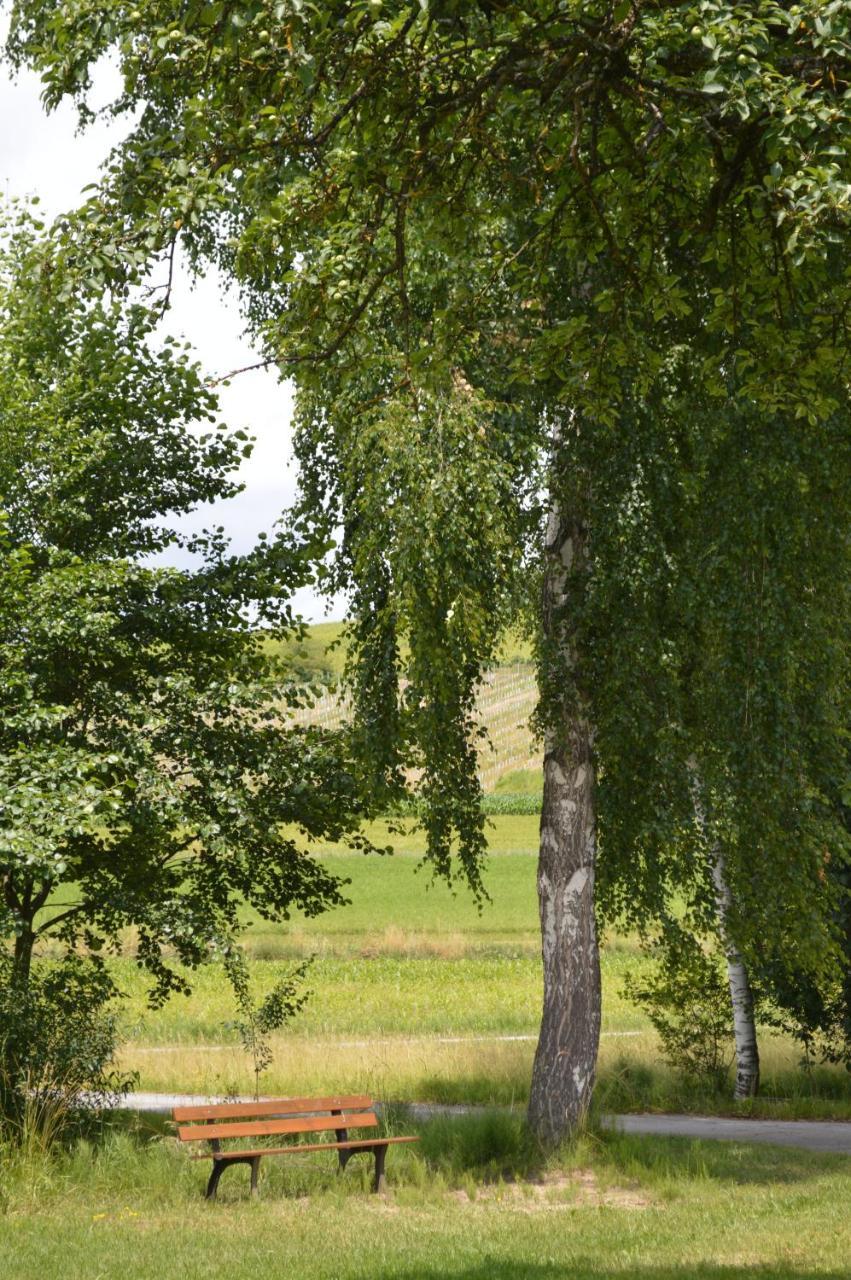 Fruehstueckspension Krump Bad Waltersdorf Exteriér fotografie